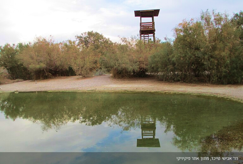 Lot Hotel - Attractions on the area - Ein Tzukim Nature Reserve (Ein Pesha)