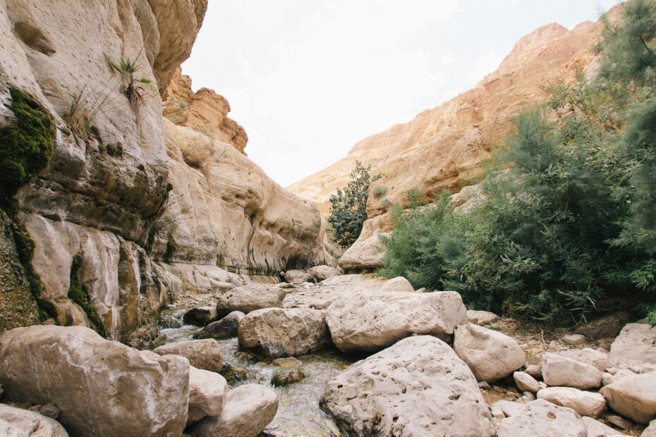 Lot Hotel - National Park Yafifiot